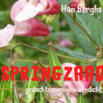 SPRINGZAAD, gedachtesprongen verdicht