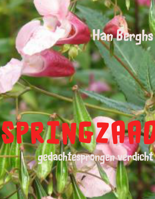 SPRINGZAAD, gedachtesprongen verdicht