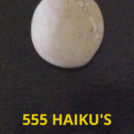555 HAIKU'S de witte zon